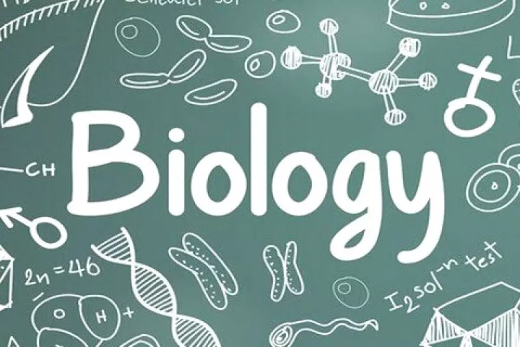Biologiya o'quv kursi