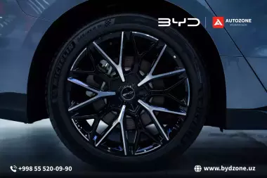 Byd han (flagship 610km awd)