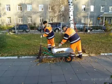 Уборка территории. Вывоз мусора, хлама и прочего в Ташкенте — 3/4