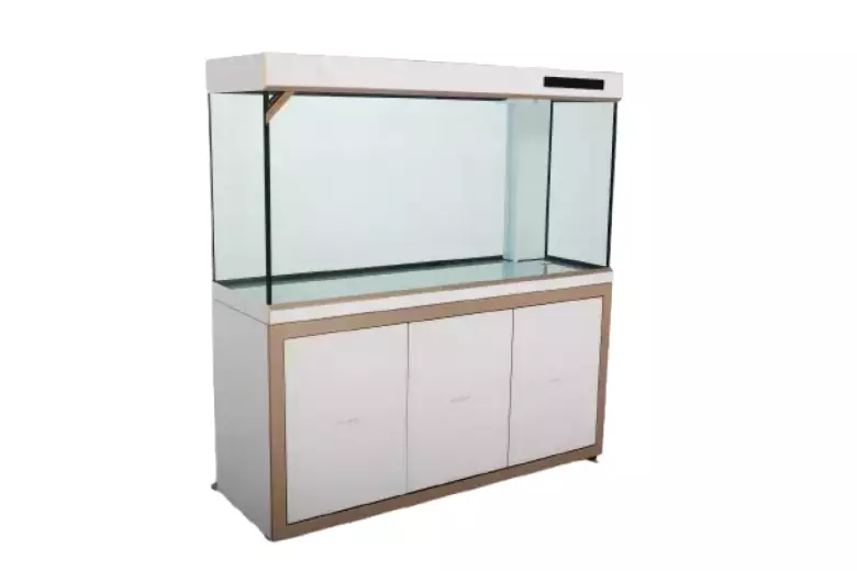 Аквариумы CLEAIR AQUATICS от эксклюзивного дилера в Узбекистане