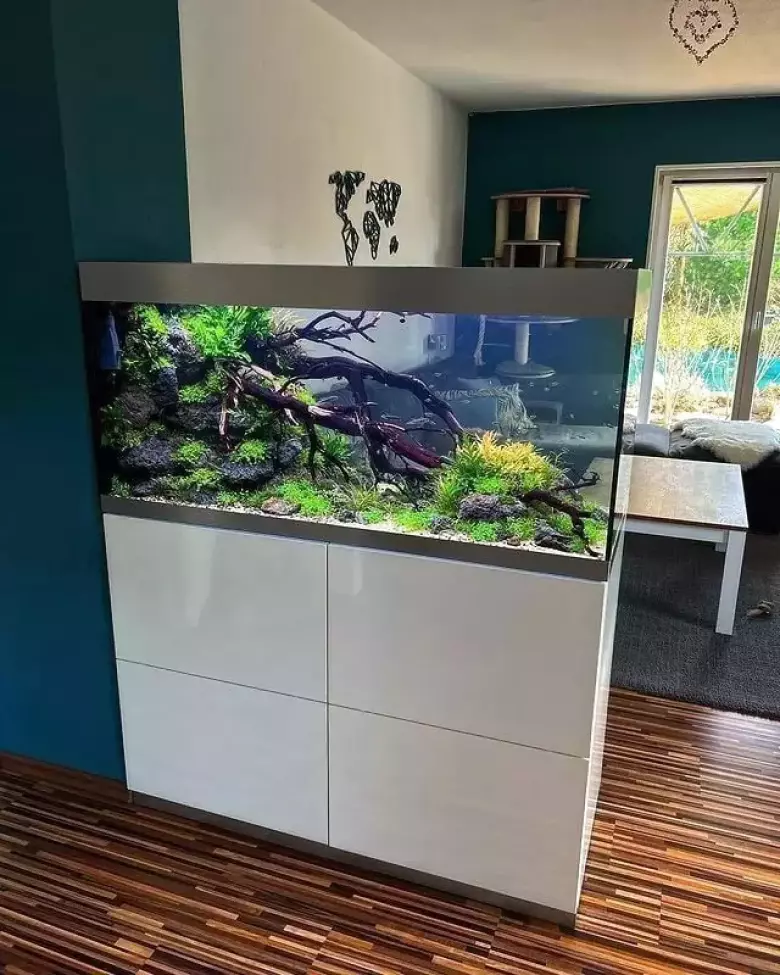 Аквариумы и террариумы на заказ