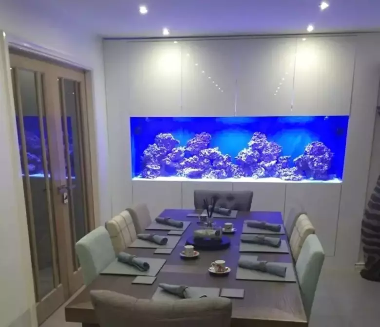 Аквариумы и террариумы на заказ. Изготовим шикарные