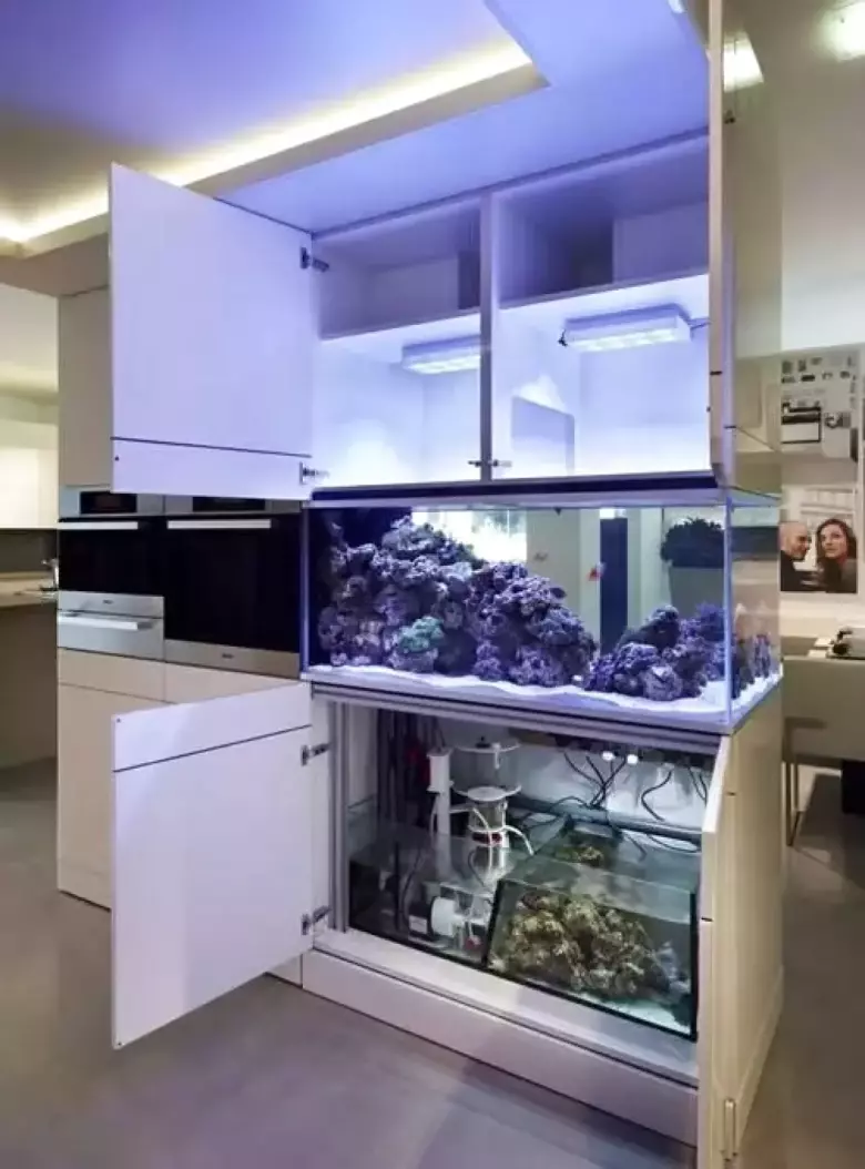 Аквариумы и террариумы на заказ