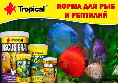 Tropical корма премиум класса для рыб - в магазине AquaStar