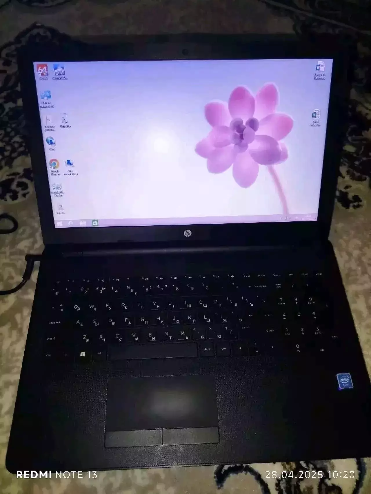 Hp noutbook hd