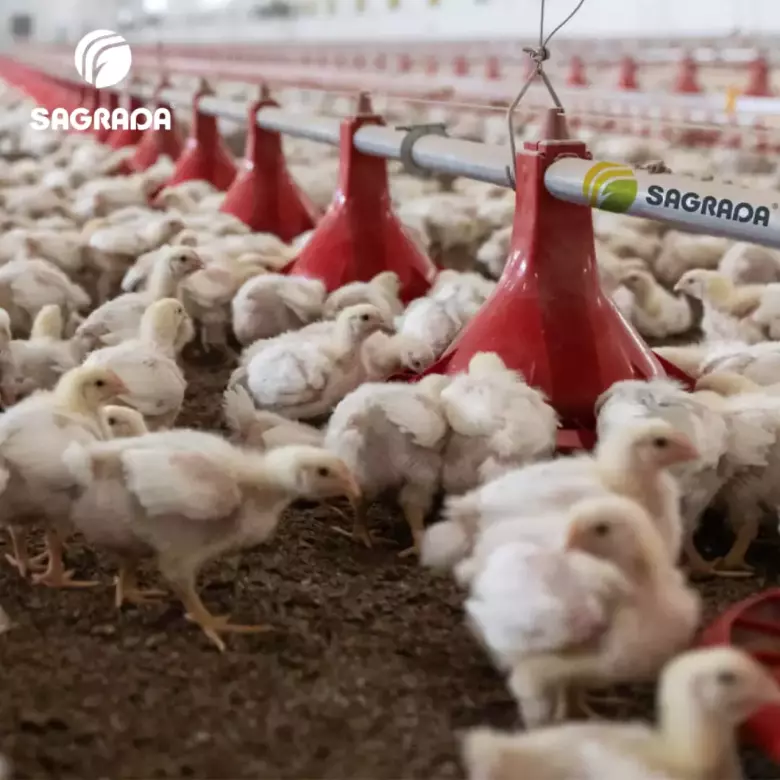 Оборудование для выращивания бройлеров с удаленным контролем