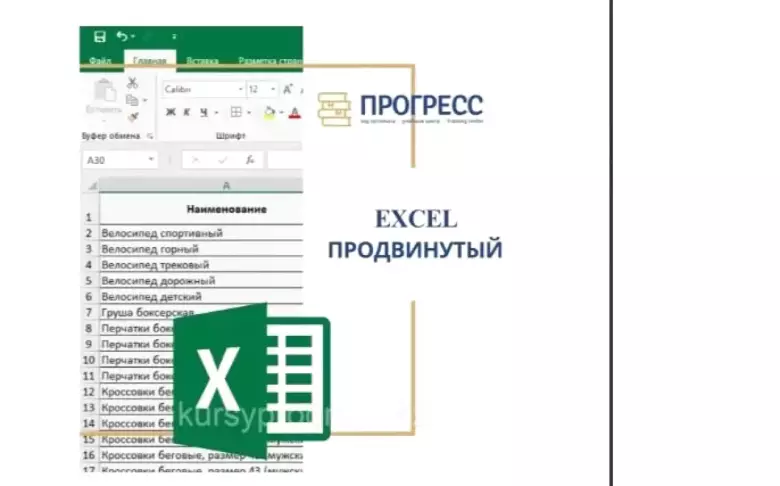 Курс "Word.Excel.Power Point.Excel PRO.Excel Pro Max" — 1/1