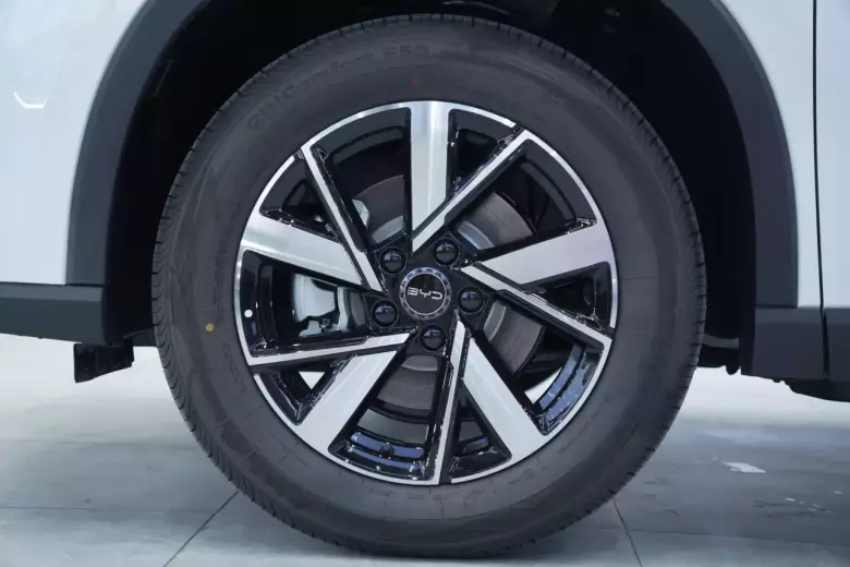 BYD Song Pro DM-i Champion (71km Flagship)