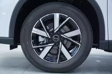 BYD Song Pro DM-i Champion (71km Flagship)
