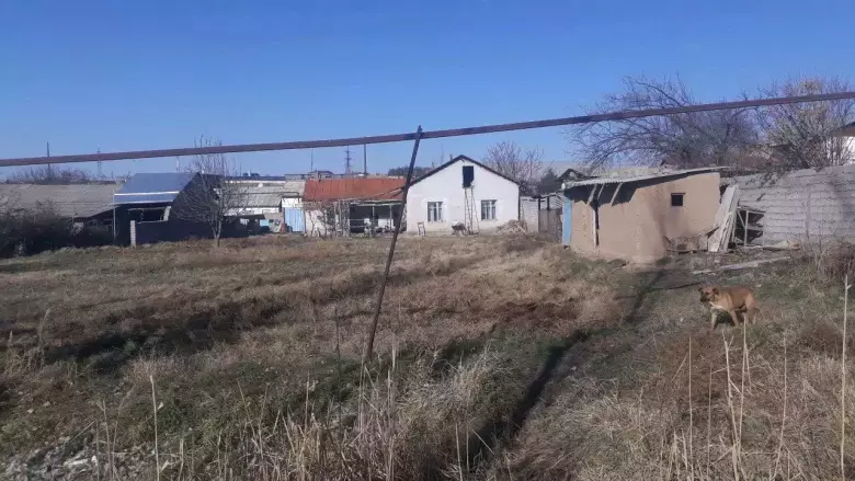 dakmetalni 10 sotik opwi 16 sotik