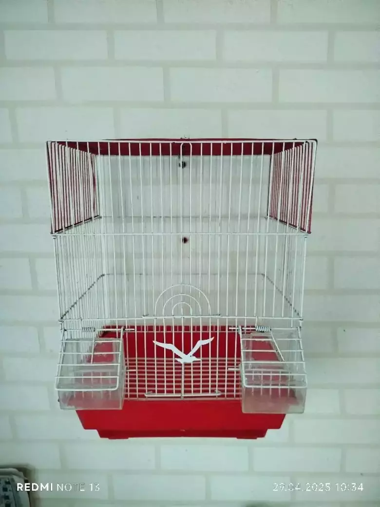 кушларга кафас