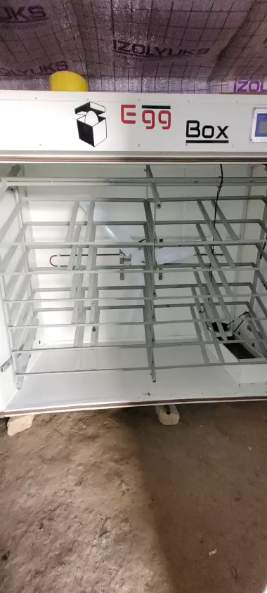 Egg Box 2000 inkubator