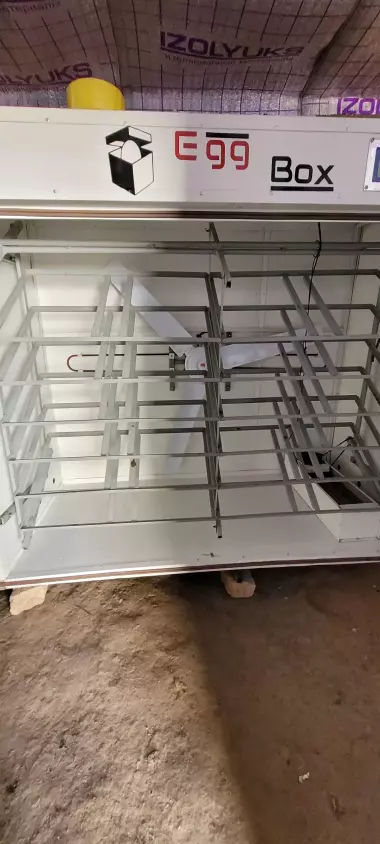 Egg Box 2000 inkubator