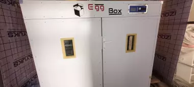 Egg Box 2000 inkubator