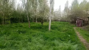 тошкент вилояти юкори Чирчик тумани янгибозор дахаси яангобод махаласи