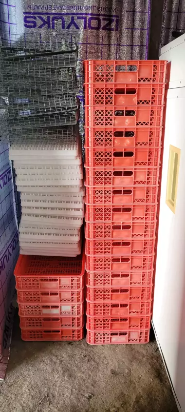 Egg Box 2000 inkubator