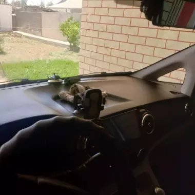 Oladigon BUSAYIZ TEL QILING NARXINI KELISHAMIZ