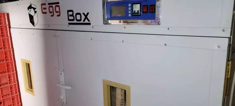Egg Box 2000 inkubator