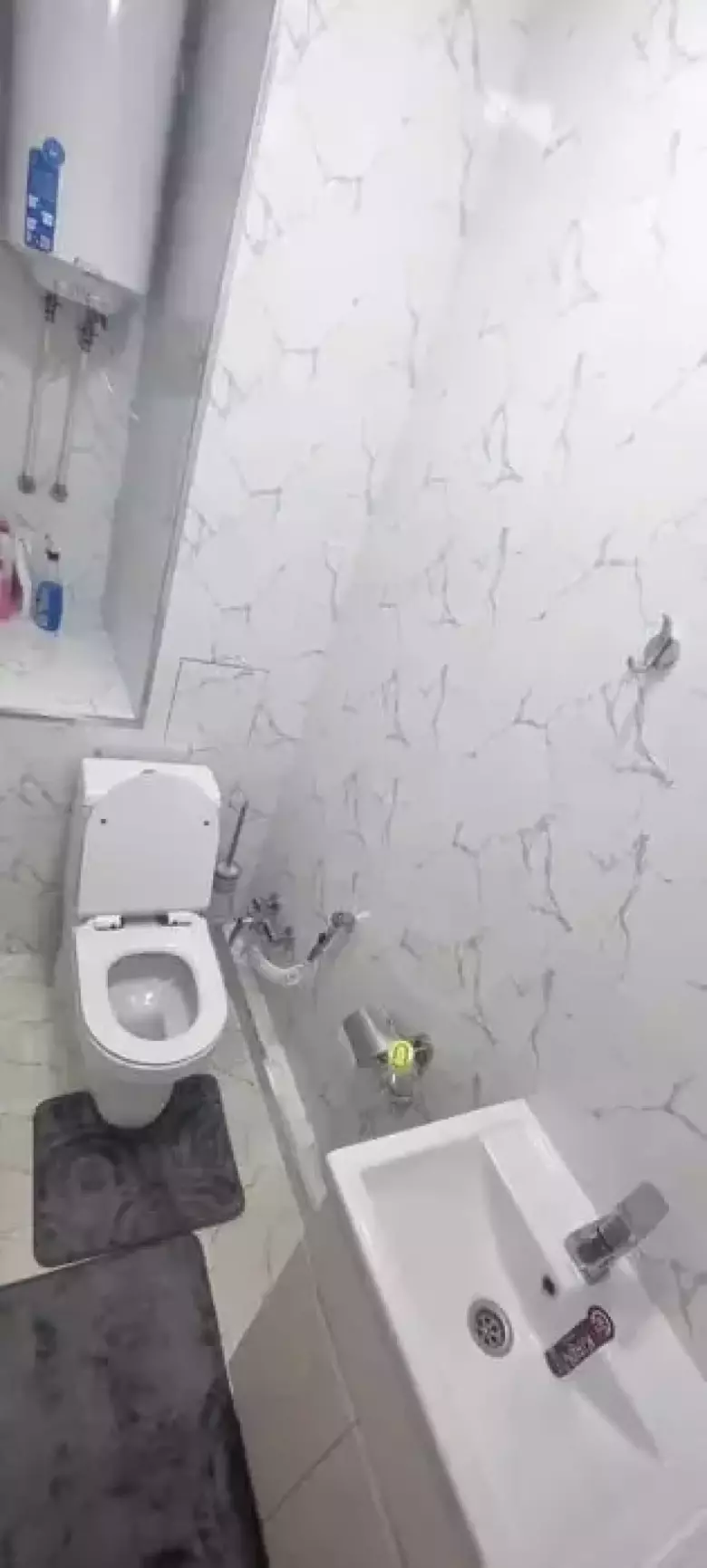 Алайский