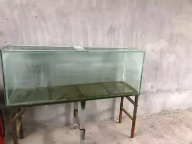 akvaryum kafe va restoran uchun