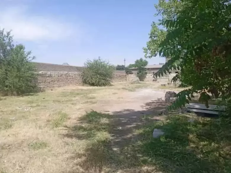 olmoliq shaxrida sentrda 29 sotox yer sotilad