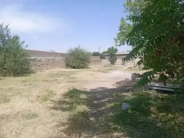 olmoliq shaxrida sentrda 29 sotox yer sotilad