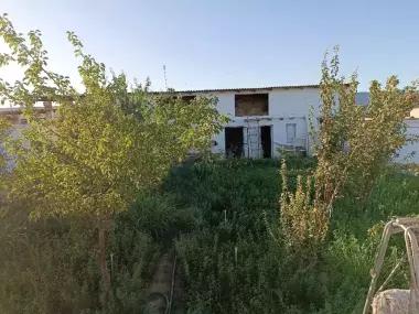 Продается дои