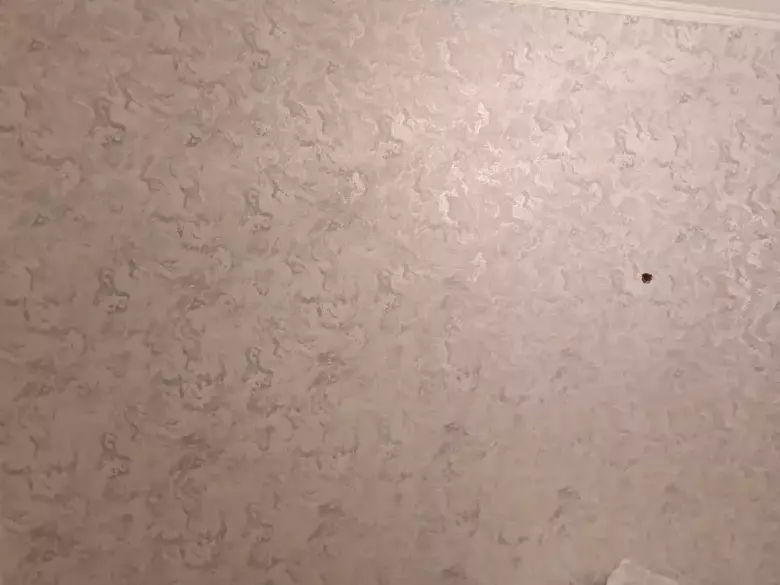 MALYAR LAMINAT TARKENT SIFAT BLAN QILAMIZ