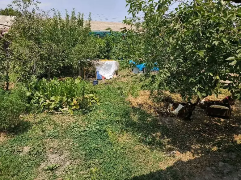 Часть земельного участка