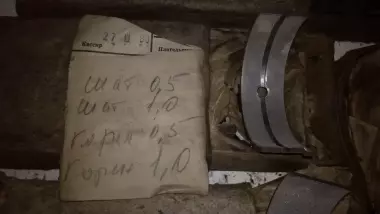 Вкладыши ГАЗ 24 широкие СССР.