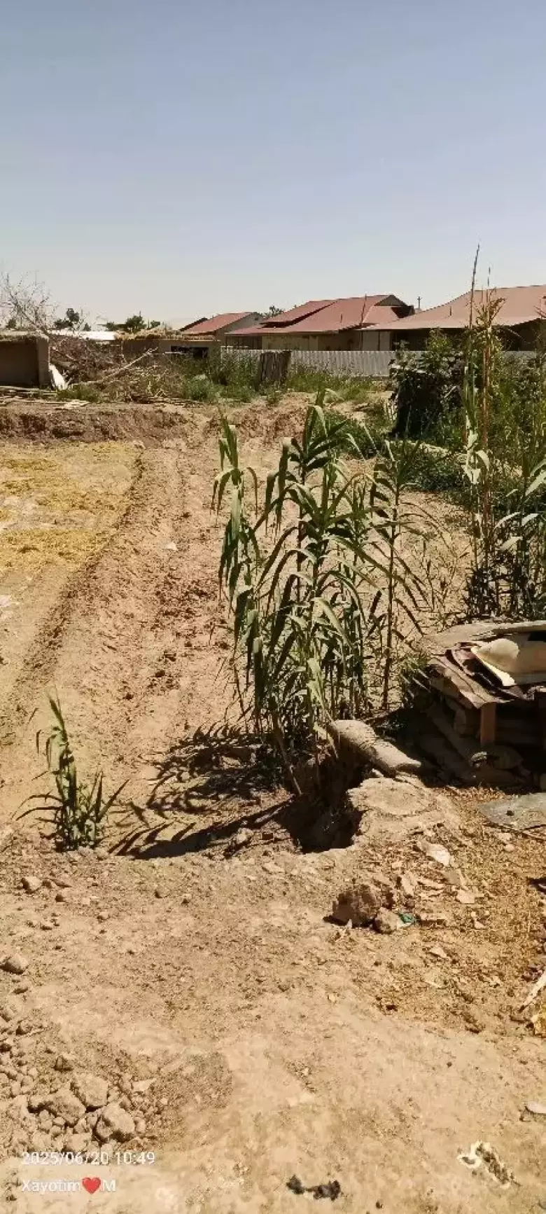 nomer da telgrom watsap bor bor narxini galishamiz