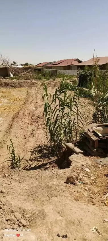 nomer da telgrom watsap bor bor narxini galishamiz