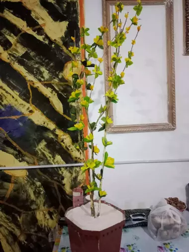 суний дарахт гул