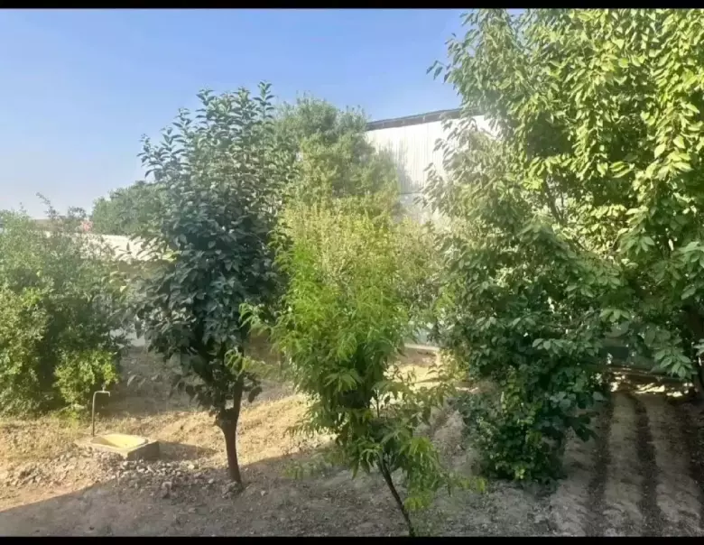 Далварзинда Коттеж