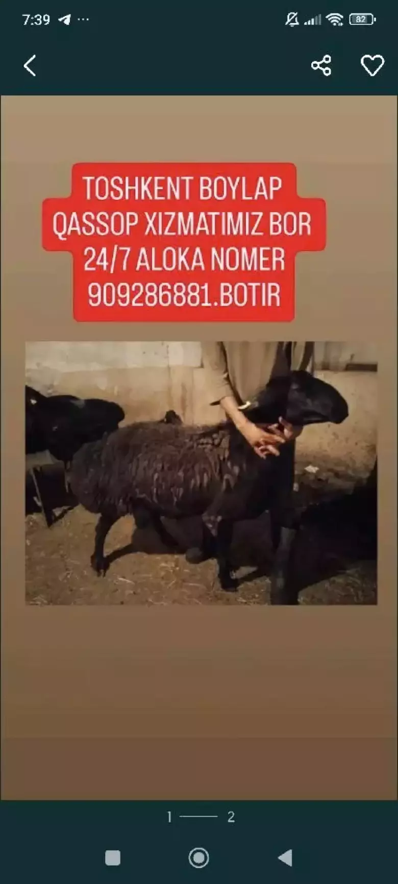 qassop xizmati toshkent boylap 24/7 biz fakat soyip chopi beramiz viziv 350 min