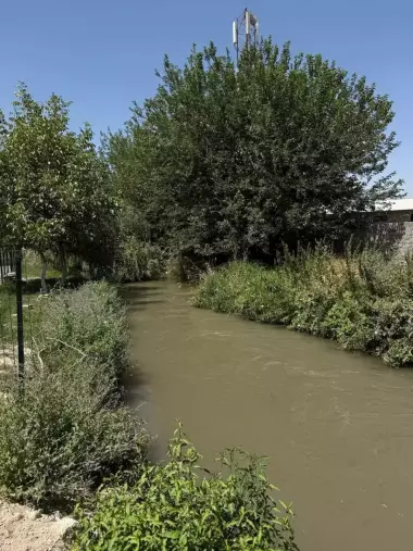 земля