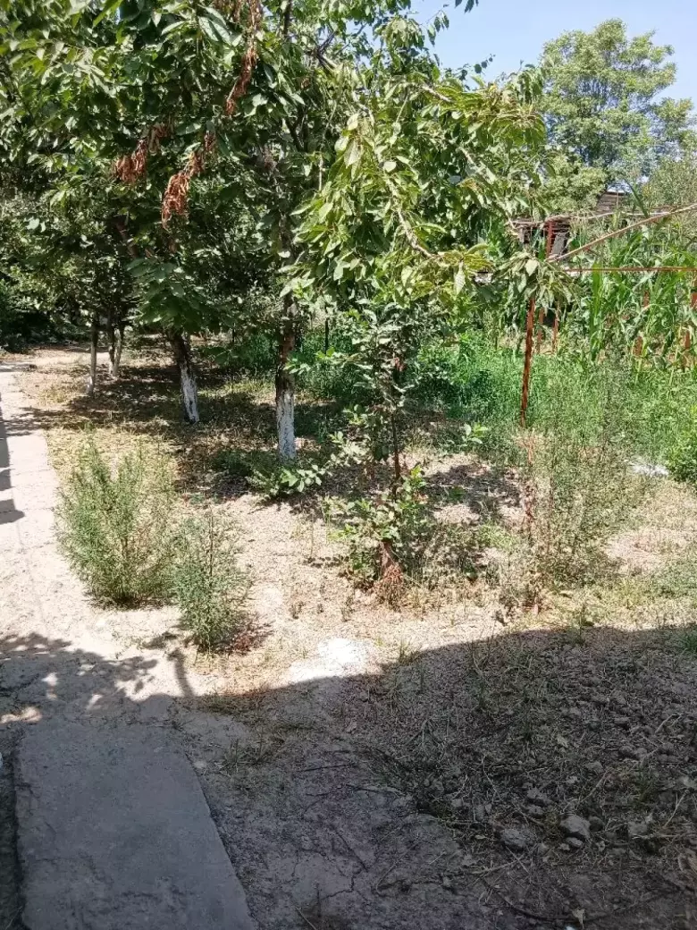 4 sotiq joy sotiladi hamma sharoitlar bor maktab dokon bogchalar yaqn kelishilad