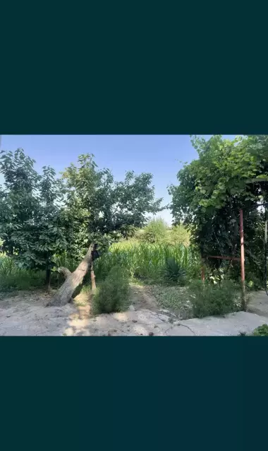 Продаётся участок 5 соток в отличном месте — рядом с городом Янгибазар.