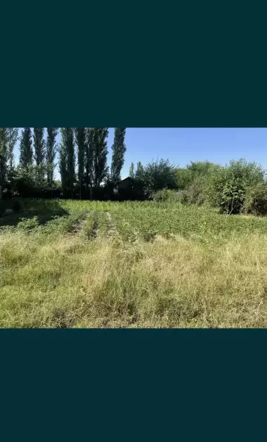 Продаётся участок 5 соток в отличном месте — рядом с городом Янгибазар.