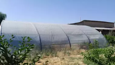 Teplitsa