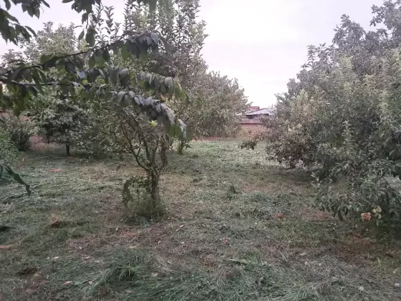 Uy sotiladi 15sotih