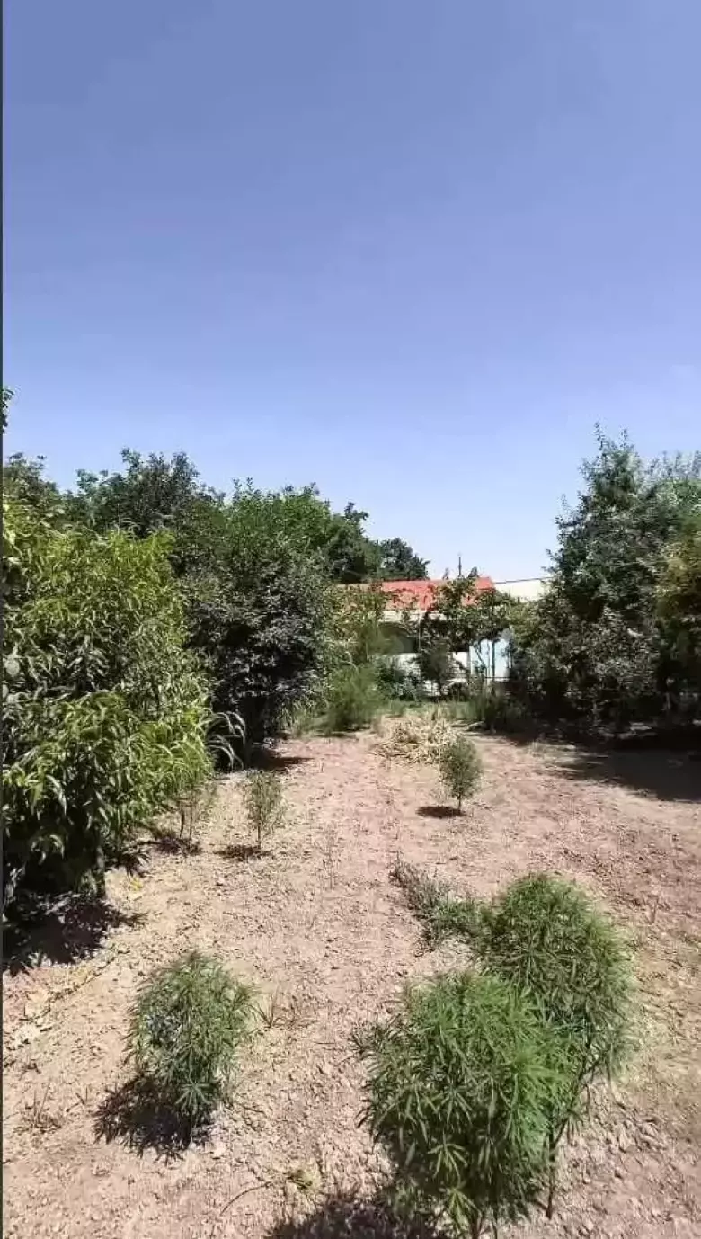Arzon narxda yer!