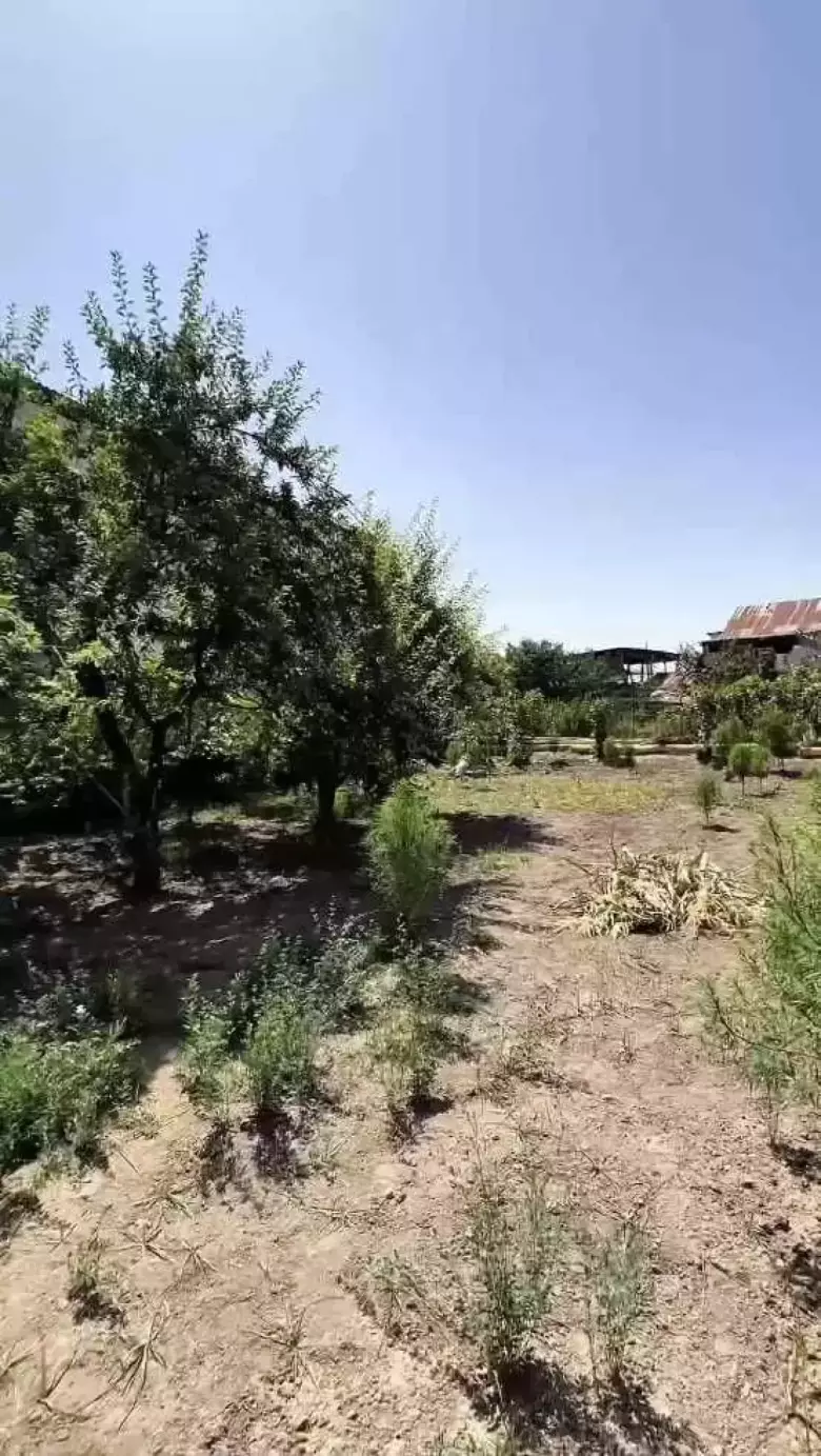 Arzon narxda yer!