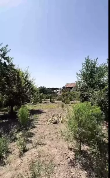 Arzon narxda yer!