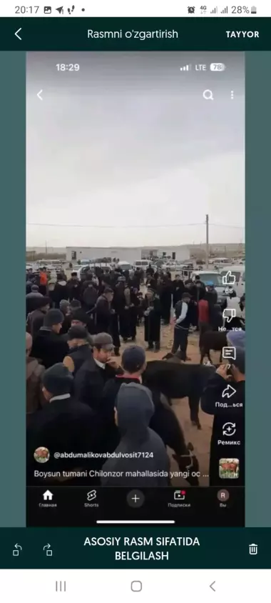 Tayyor Mol Bozori Sotiladi