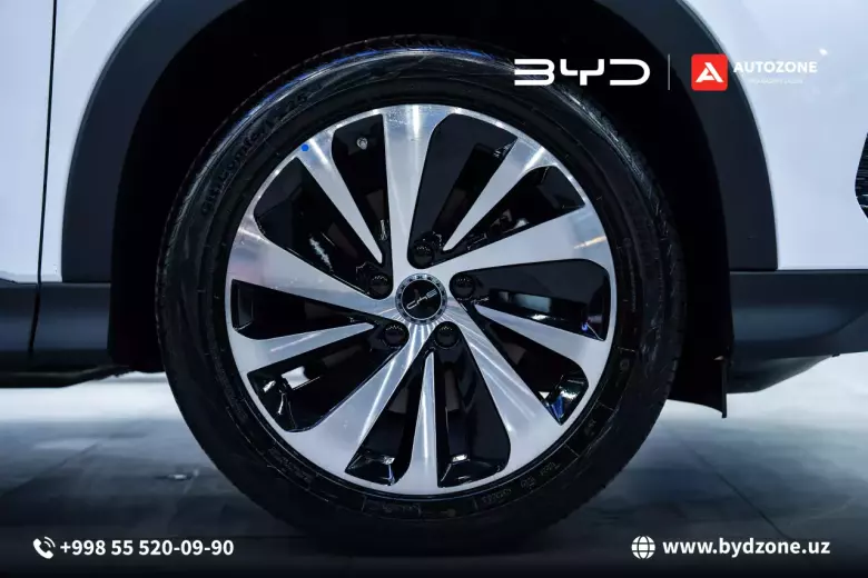 BYD SONG PLUS DM-i CHAMPION UzPride (150km flagship)