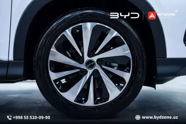 BYD SONG PLUS DM-i CHAMPION UzPride (150km flagship)