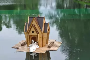 Кошкин Дом, мушук, будка, вольер для Гусей Лебедей
