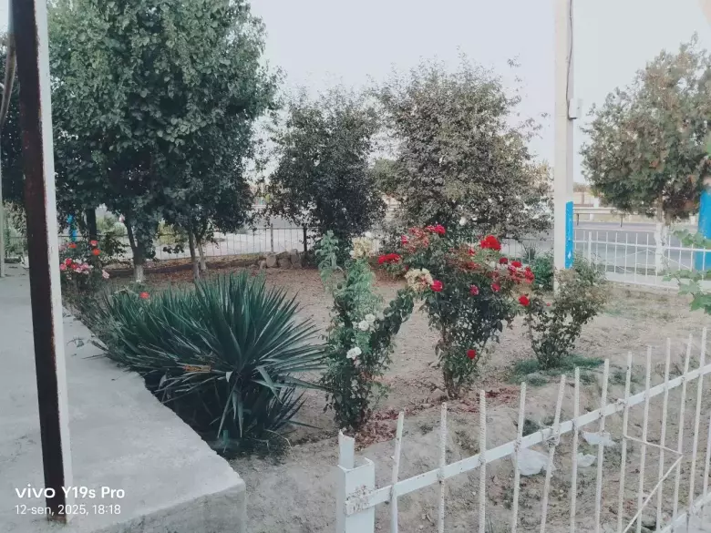 UY SOTILADI SIrdayo viloyati