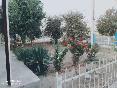 UY SOTILADI SIrdayo viloyati